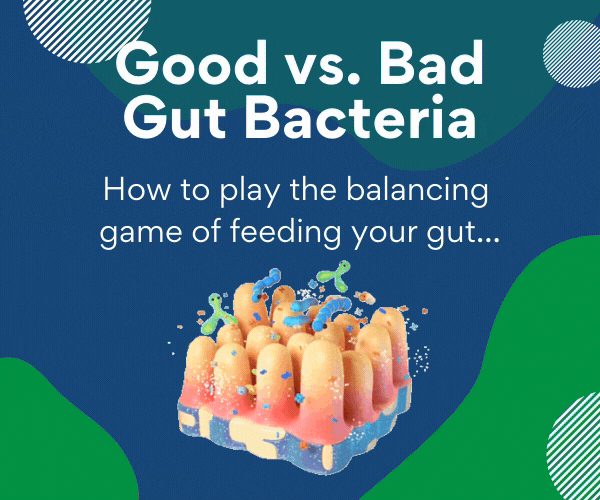 Previlli How to Balance Your Gut Bacteria Milled