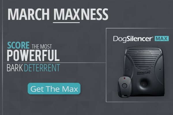 Most powerful store dog bark silencer