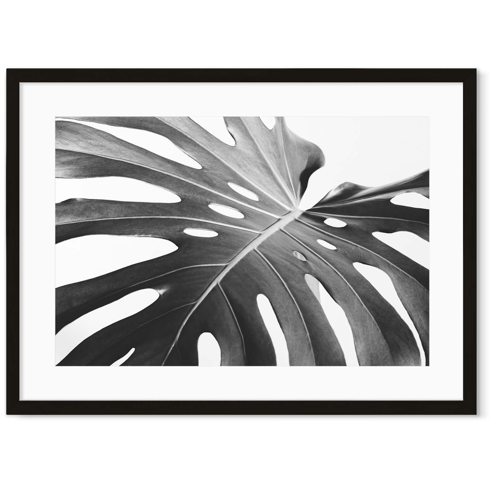 Image of Monochrome Botanical Leaf Art Print