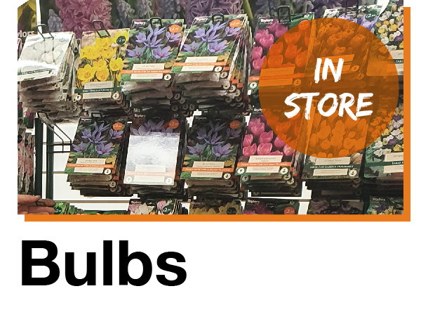 Garden Bulbs in store