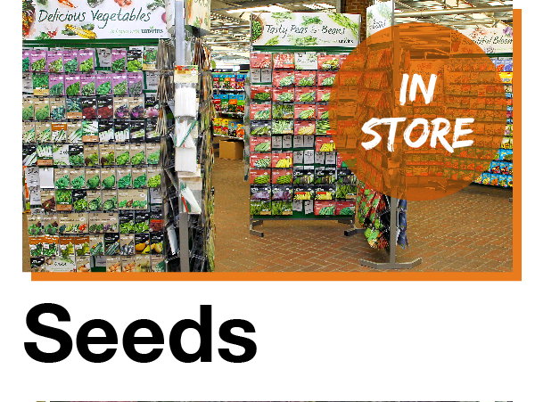 Seeds in store