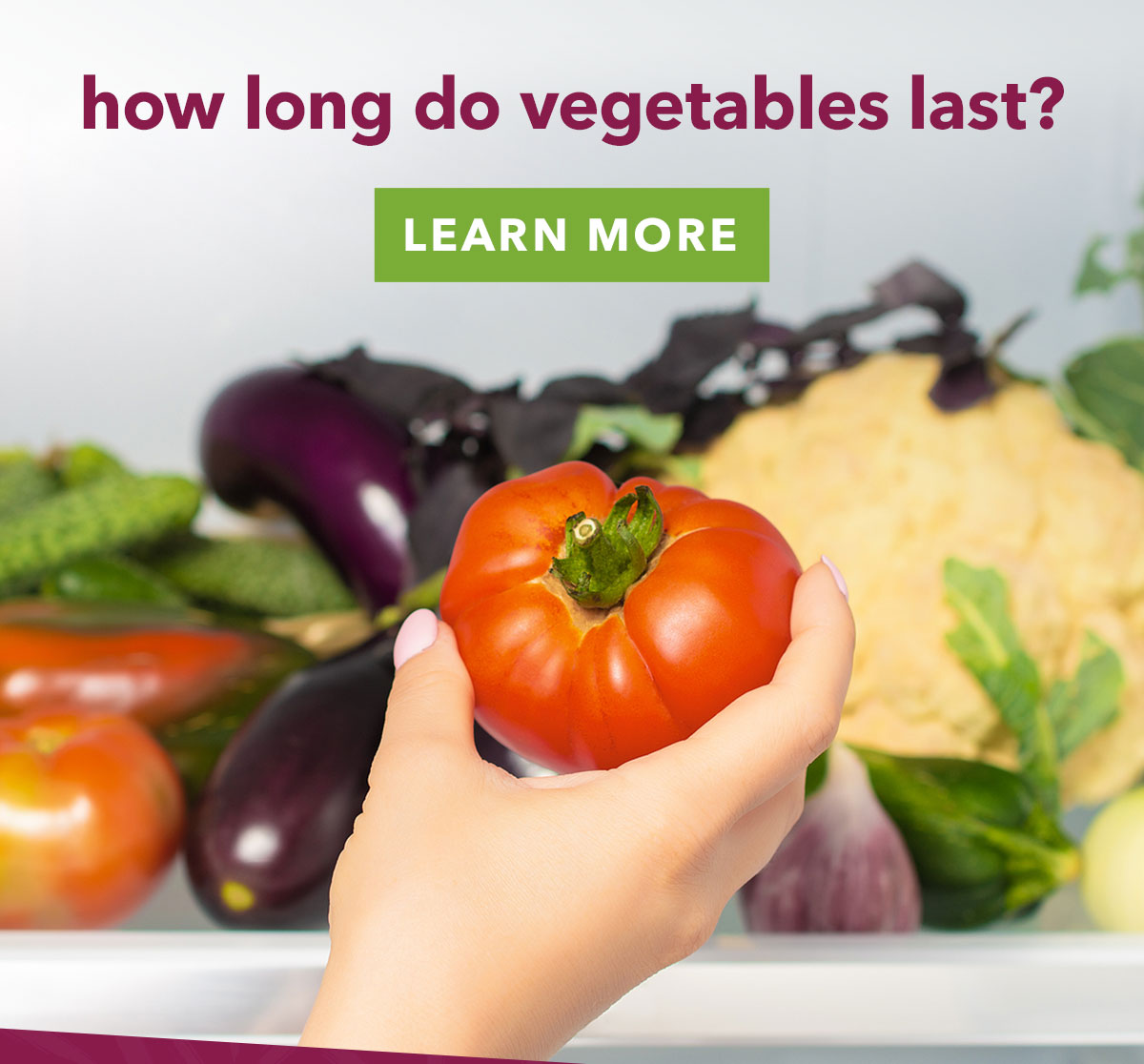Veestro How Long Do Vegetables Last? Milled
