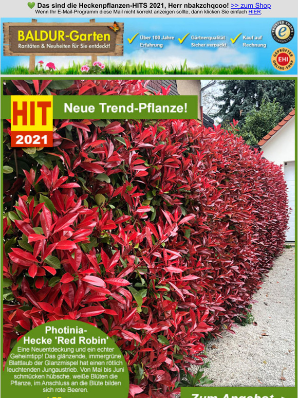 BALDURGarten KOO Das sind die HeckenpflanzenHITS 2021, Herr Milled