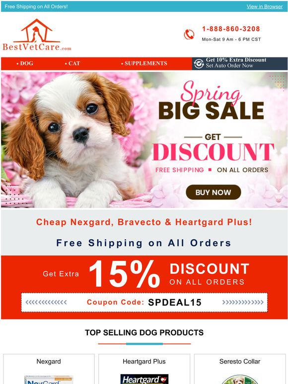 Spring Shopping Session ! Extra 15% off & free shipping everything