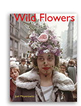 Wild Flowers
