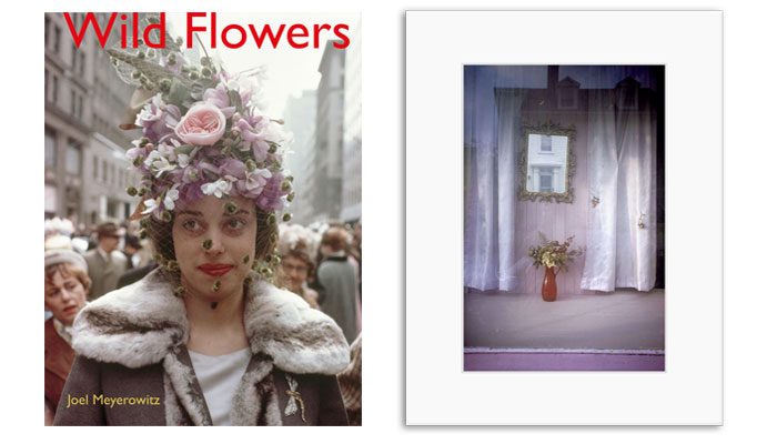 Wild Flowers Collector's Edition