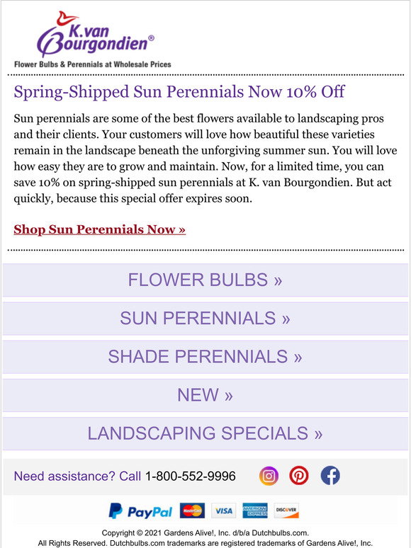 dutchbulbs free shipping