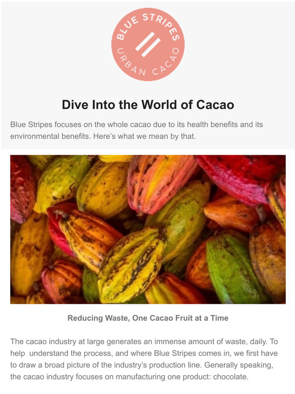 Learn about cacaos endless benefits (and score 30% off)