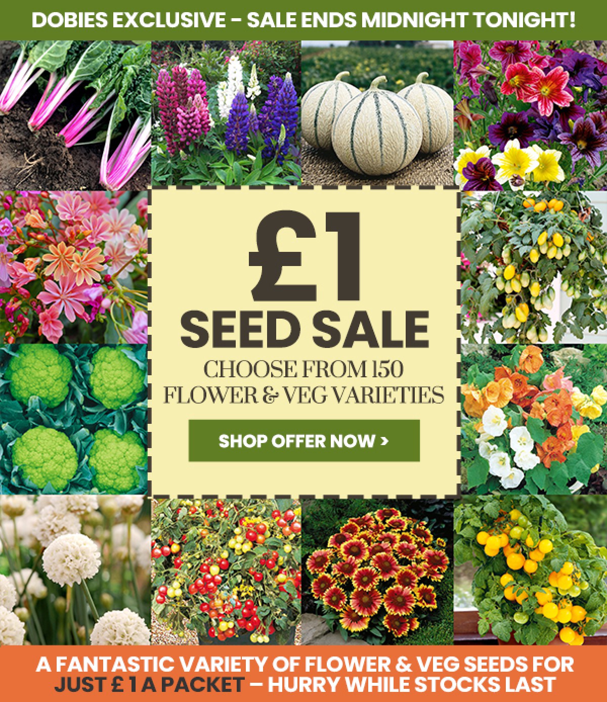 Dobies seeds on sale