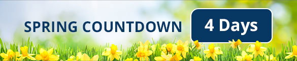 Spring Countdown Banner