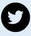 Social icons