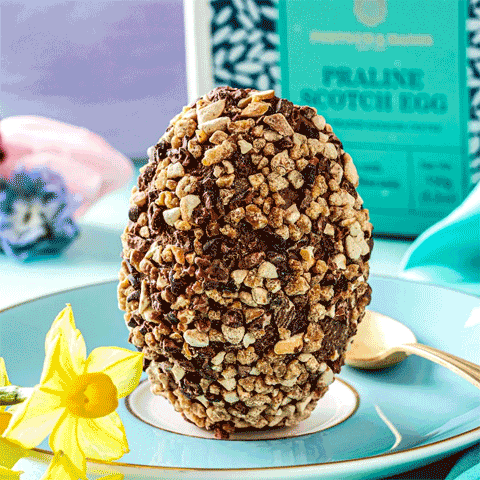Praline Scotch Egg 