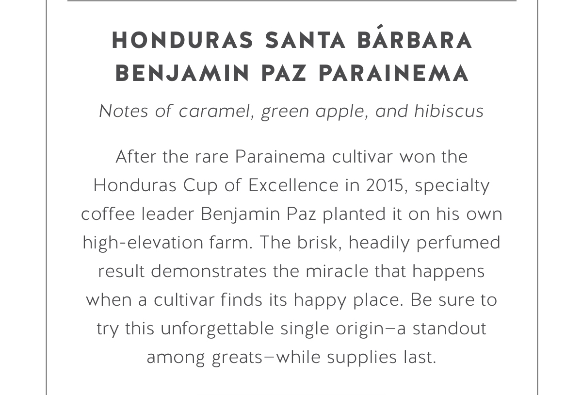 Blue Bottle Coffee: Last Roast | Honduras Santa Brbara Benjamin Paz  Parainema | Milled, image size:1200x814