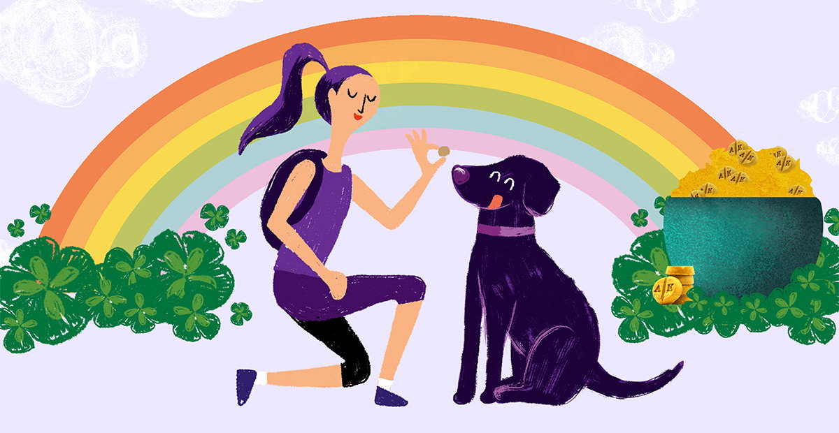 Would your dog rather have a pot of gold or a pot of our CBD soft chews?