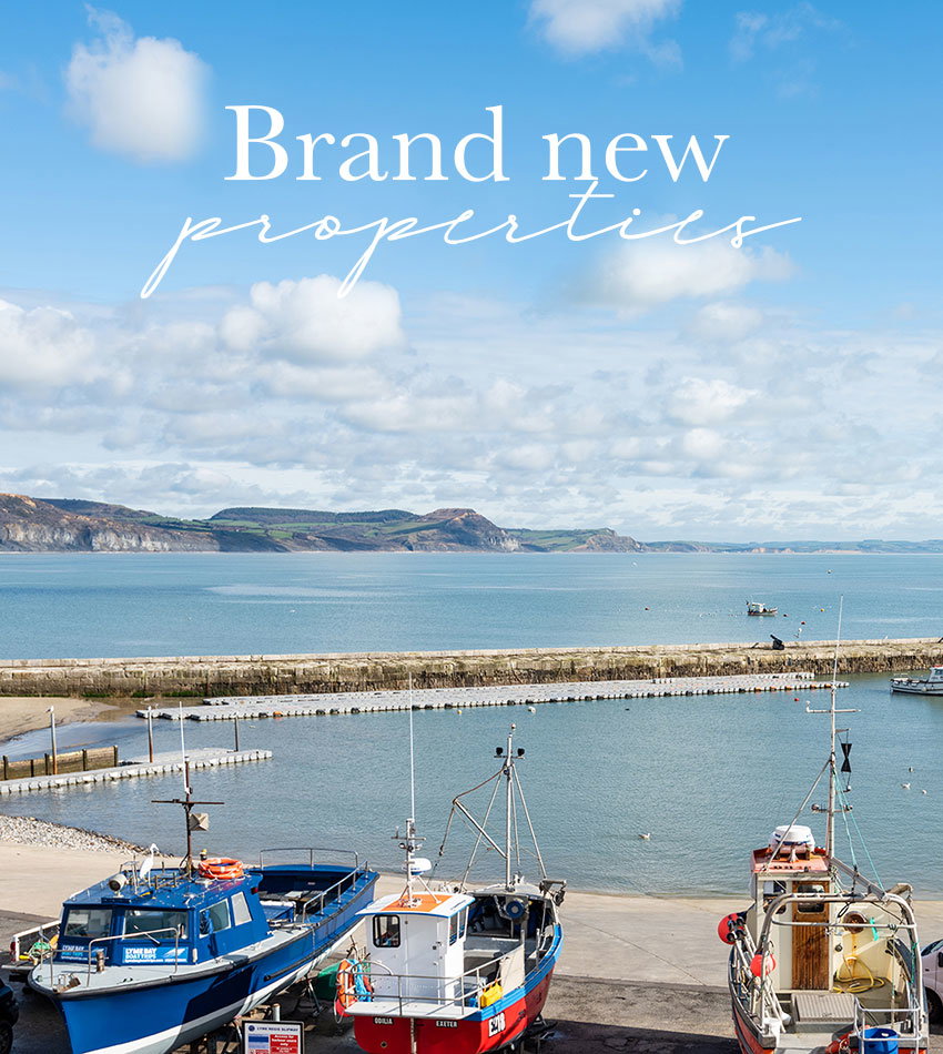 Brand new properties