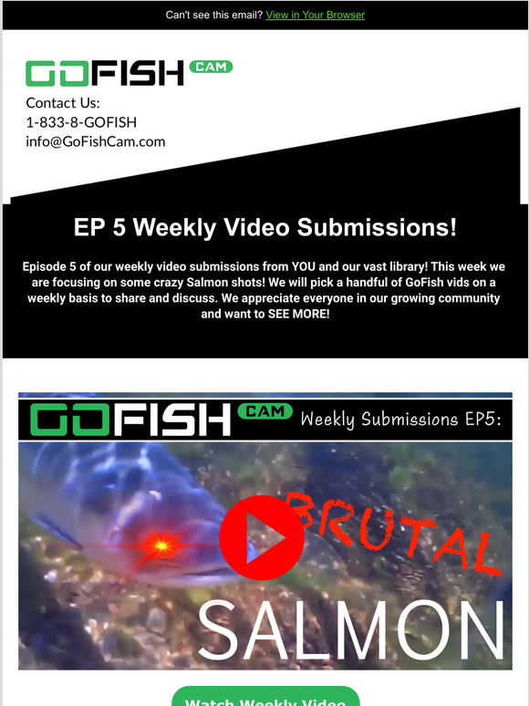 Episode 5: Salmon are BRUTAL