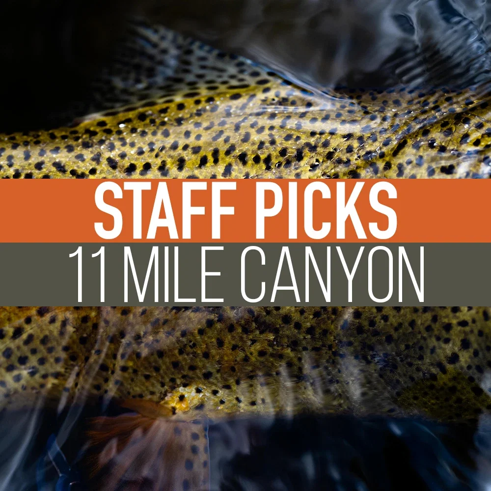 Image of Staff Picked Trout Flies - 11 Mile Canyon