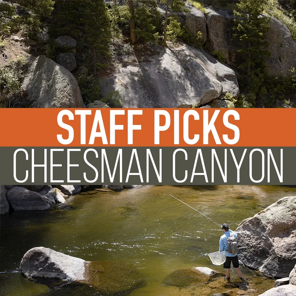 Image of Staff Picked Trout Flies - Cheesman Canyon