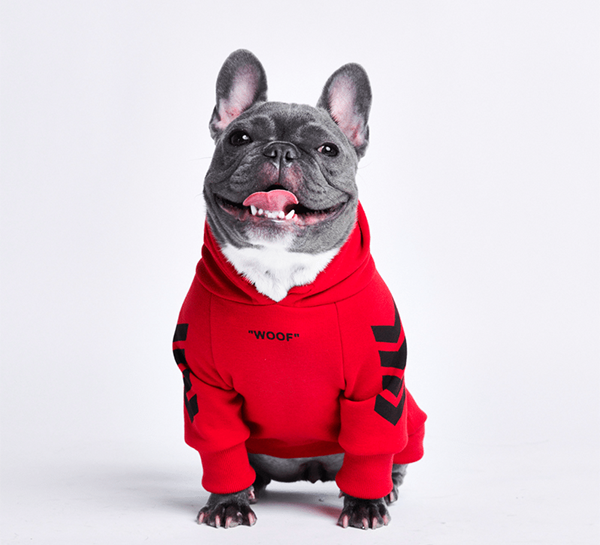 Spark Paws - Black Friday 2023  Dog Clothing, Accessories and