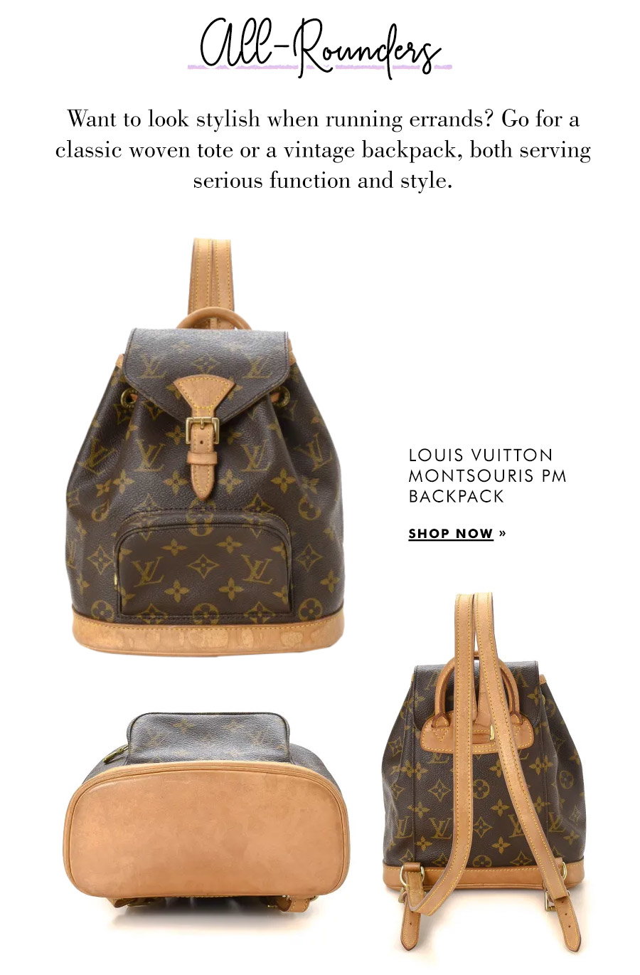 Louis Vuitton Montsouris PM Backpack