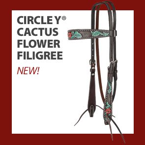 Circle Y® Cactus Flower Filigree Browband Headstall†