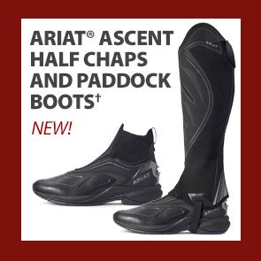 Ariat® Ascent Half Chaps and Paddock Boots†