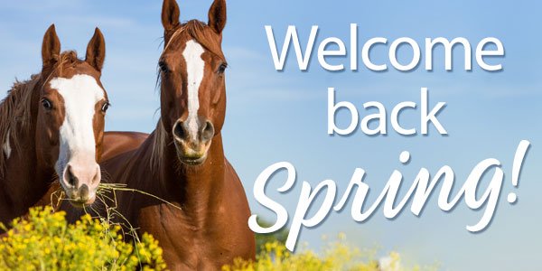 Welcome back Spring! 20% Off or 30% Off Orders over $149*