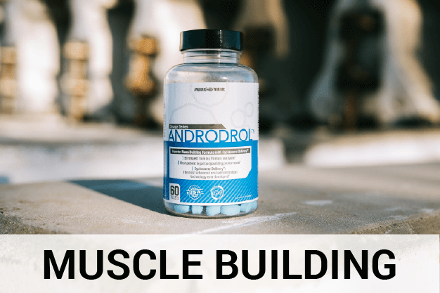 Muscle Building