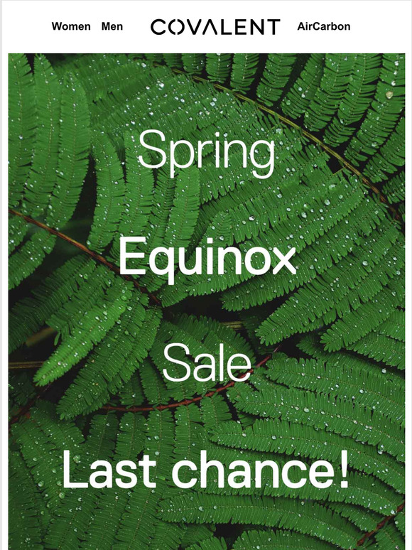 Last Chance! Spring Sale!