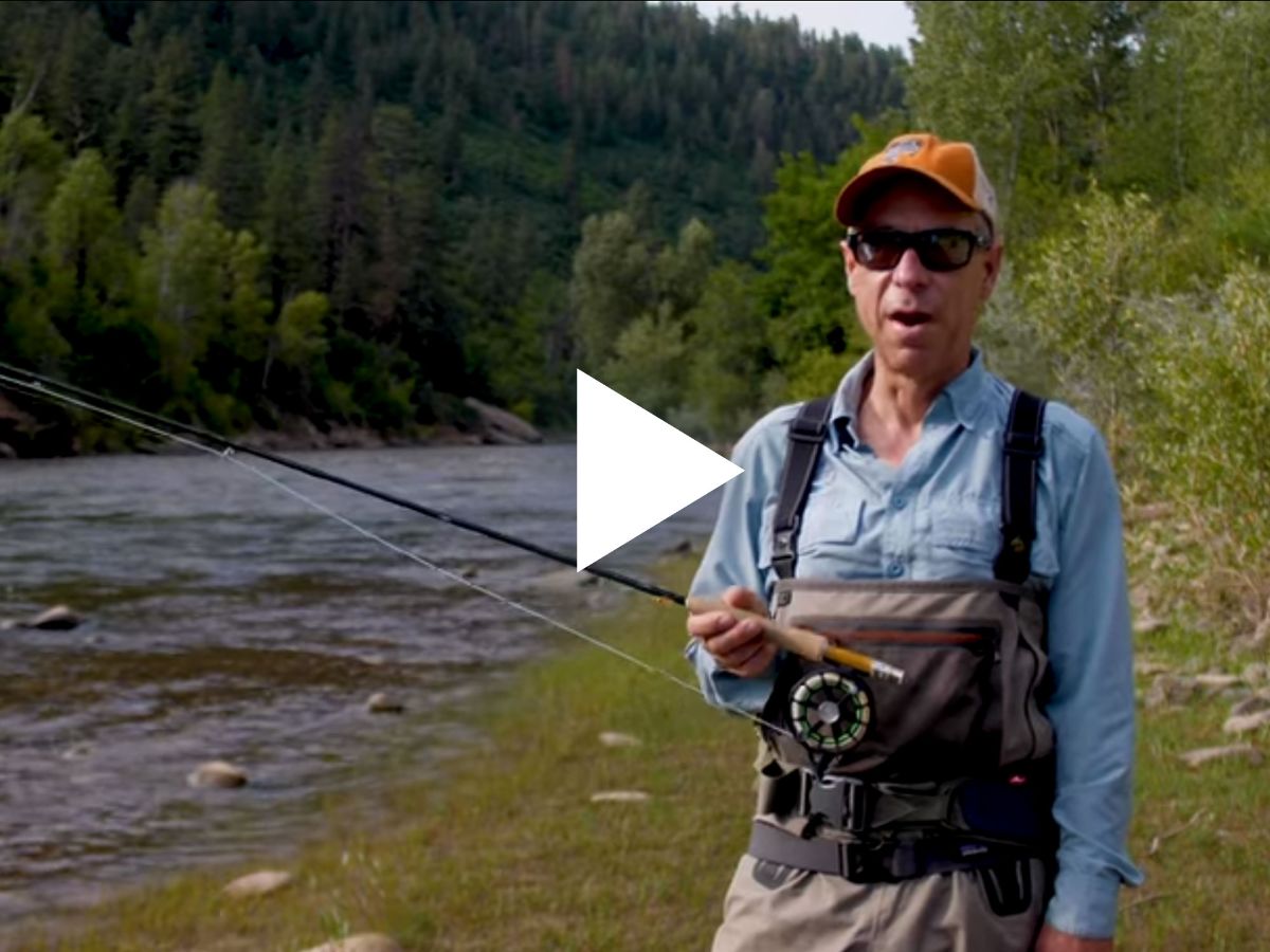 Telluride Angler Compare medium action trout rods Scott G Series vs