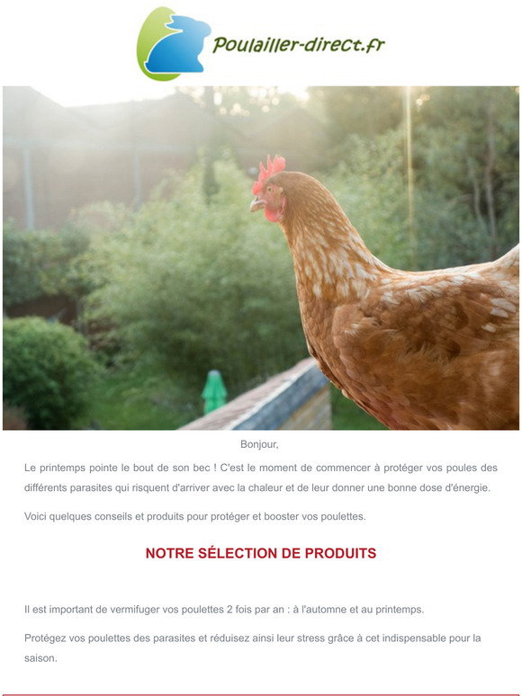 poulailler direct: Prenez soin de votre levage de poules !  Milled