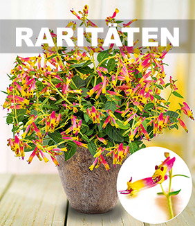Raritäten