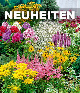 Neuheiten