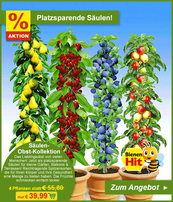 Platzsparende Säulen: Säulen-Obst-Kollenktion