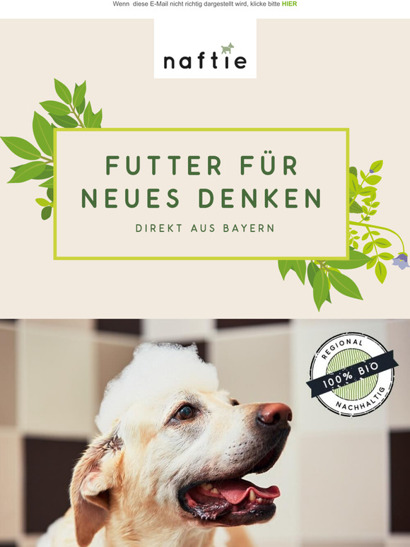 Die perfekte Frhlingsfrisur fr Deinen Hund