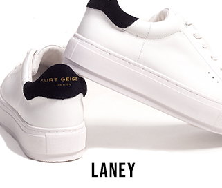 LANEY