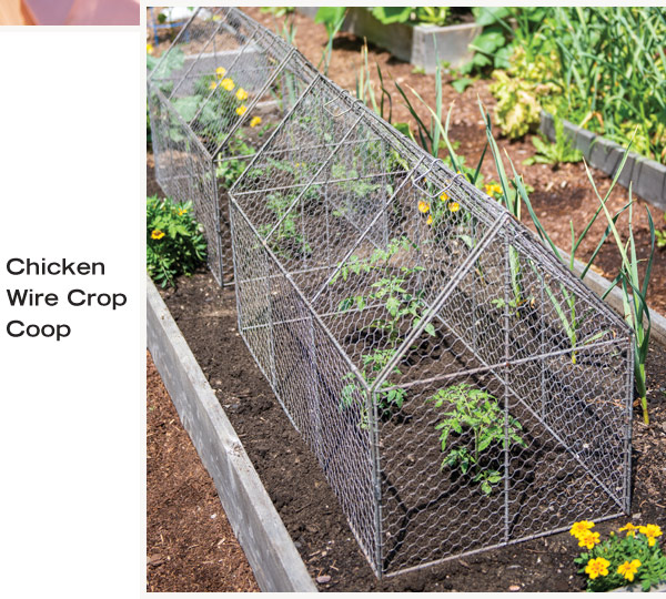 Gardener's Supply Company Our Line of Chicken Wire Protection Milled