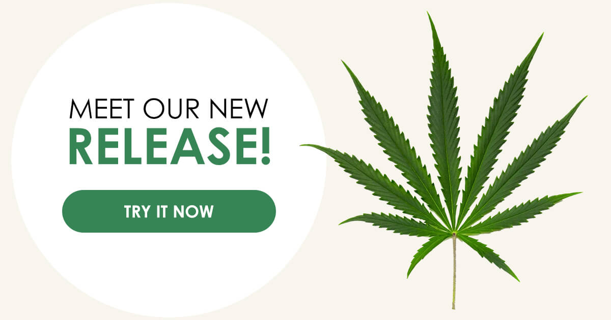 Meet Our New Release! 