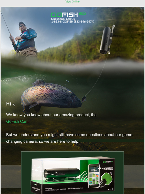 All You Need to Know About Our Products