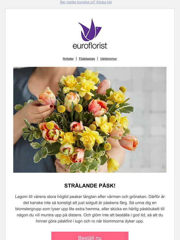 Euroflorist SE Email Newsletters: Shop Sales, Discounts, and 