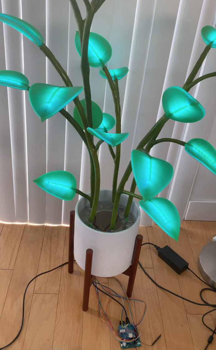 Indiegogo: Update #4 from Fluora - The Magical LED Houseplant | Milled