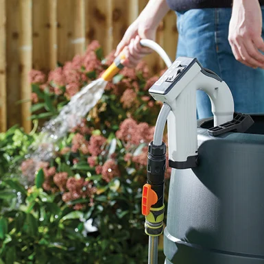 Expert Verdict: Bergman / Strong Tools 