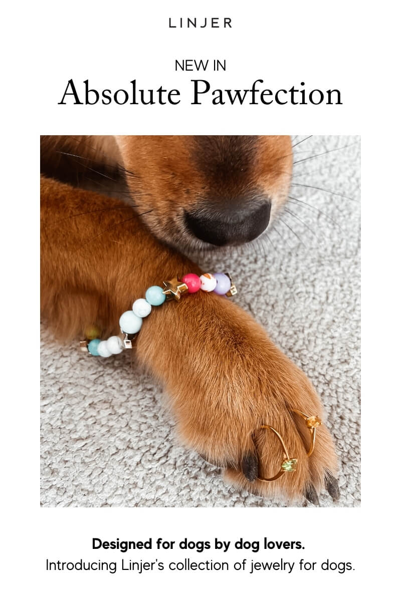 Linjer: New In: Jewelry for Dogs | Milled