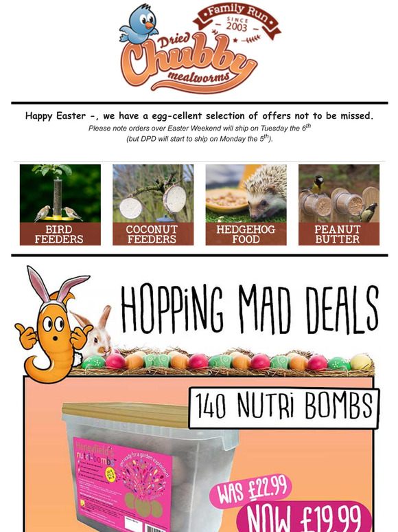  Have We Gone Hopping Mad??  Egg-cellent Easter Deals Not To Be Missed