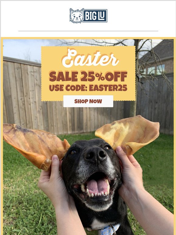 Easter Sale: 25% Off All Treats!