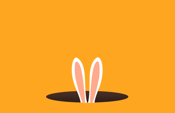 rabbit