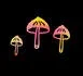 Mushrooms