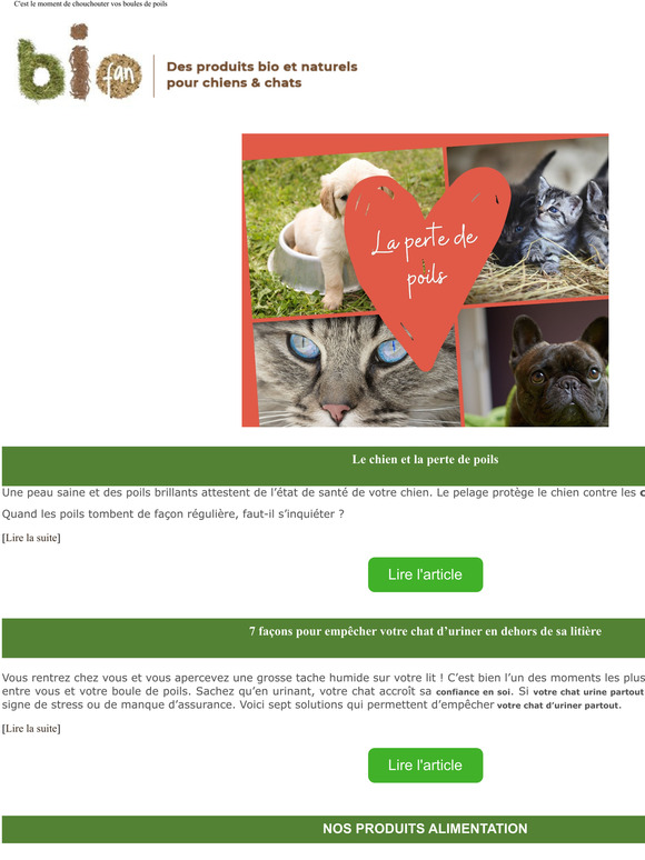  Le chien et la perte de poils
