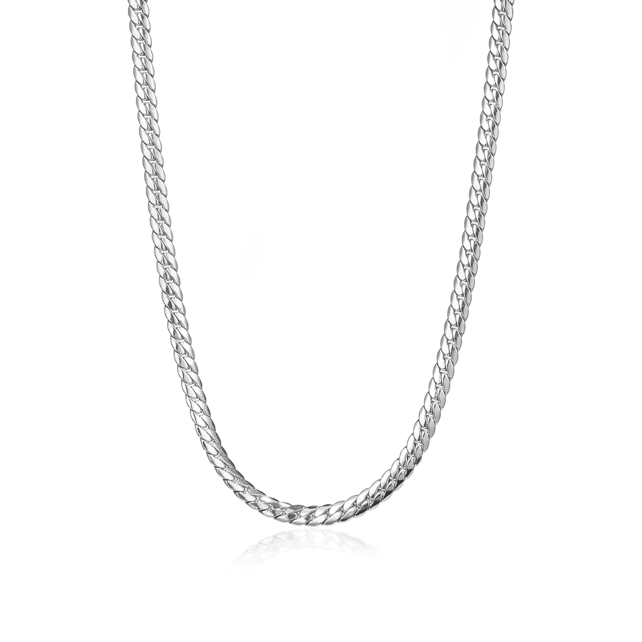 Image of Biggie Chain Necklace