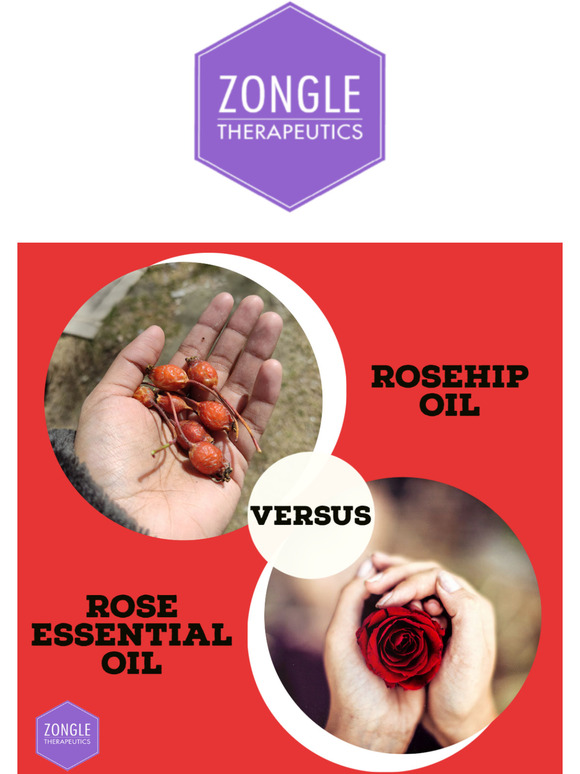 Difference Between Essential Oils & Fragrance Oils – Zongle